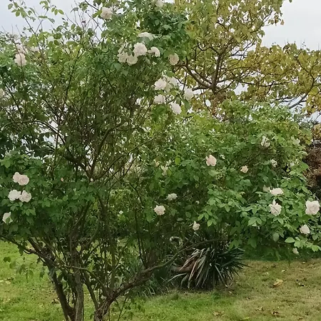 아파트 Domaine De Zely